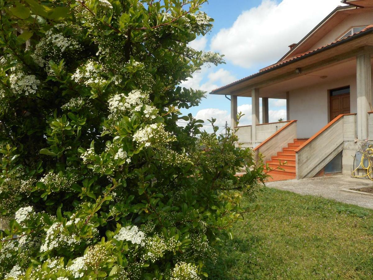Poggio Fiorito Apartment คาสติญโญน ฟิโอเรนทิโน ภายนอก รูปภาพ