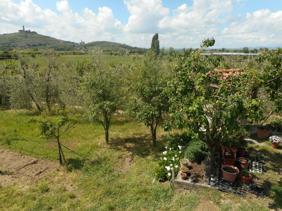 Poggio Fiorito Apartment คาสติญโญน ฟิโอเรนทิโน ภายนอก รูปภาพ